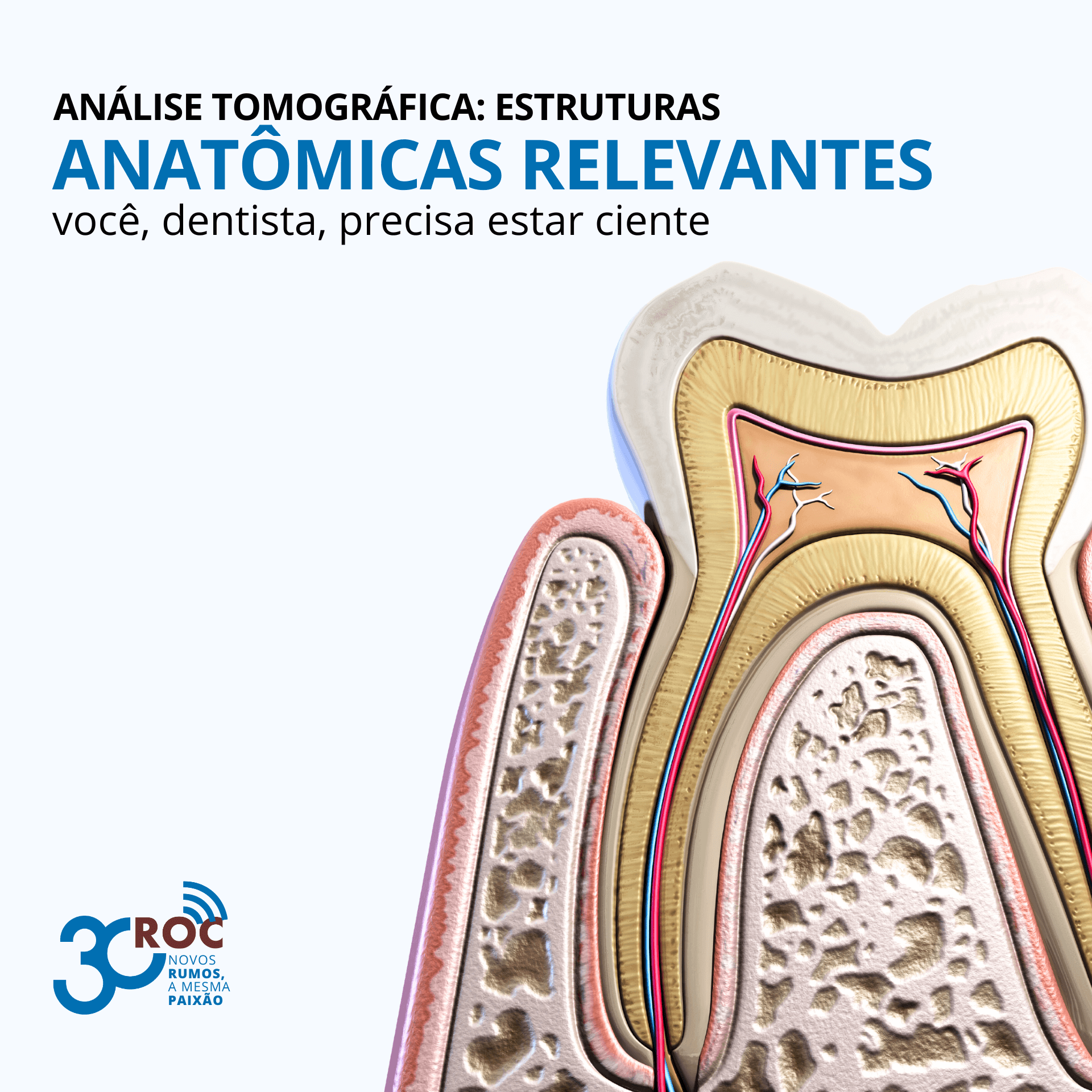 AnÃ¡lise tomogrÃ¡fica: estruturas anatÃ´micas que todo dentista precisa conhecer